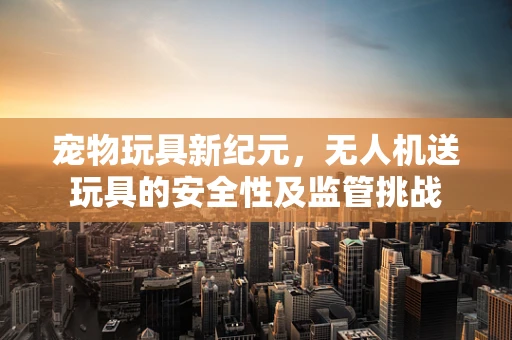 宠物玩具新纪元，无人机送玩具的安全性及监管挑战