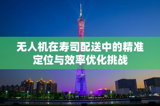 无人机在寿司配送中的精准定位与效率优化挑战