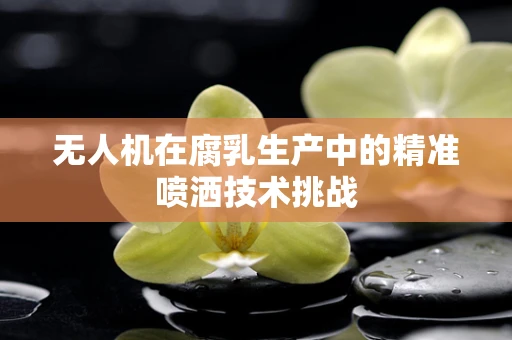 无人机在腐乳生产中的精准喷洒技术挑战