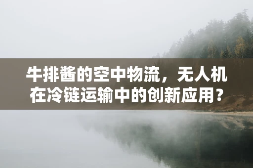 牛排酱的空中物流，无人机在冷链运输中的创新应用？