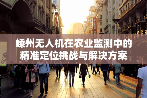 嵊州无人机在农业监测中的精准定位挑战与解决方案