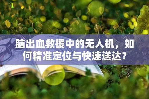 脑出血救援中的无人机，如何精准定位与快速送达？