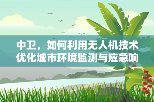 中卫，如何利用无人机技术优化城市环境监测与应急响应？