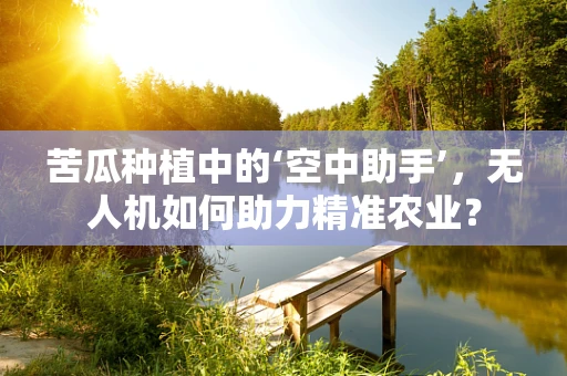 苦瓜种植中的‘空中助手’，无人机如何助力精准农业？