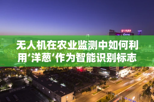 无人机在农业监测中如何利用‘洋葱’作为智能识别标志？