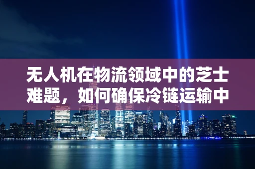 无人机在物流领域中的芝士难题，如何确保冷链运输中的食品安全？