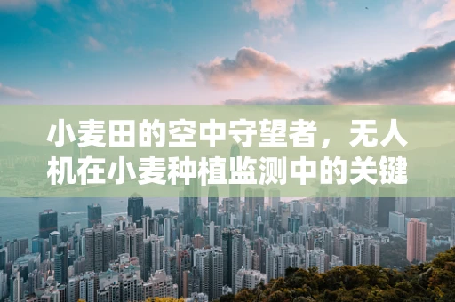 小麦田的空中守望者，无人机在小麦种植监测中的关键挑战是什么？