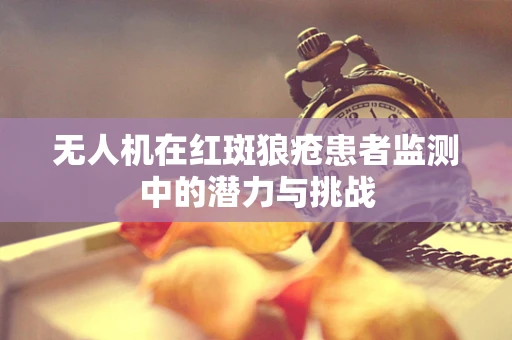 无人机在红斑狼疮患者监测中的潜力与挑战