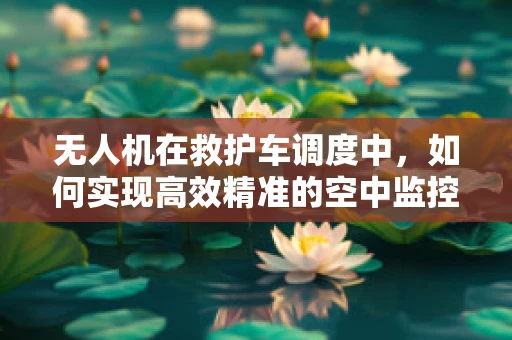 无人机在救护车调度中，如何实现高效精准的空中监控？