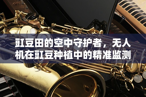 豇豆田的空中守护者，无人机在豇豆种植中的精准监测挑战