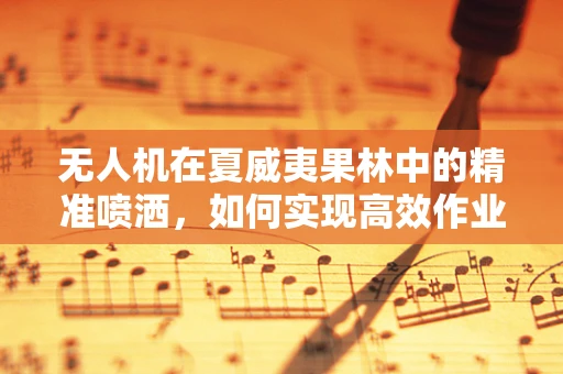 无人机在夏威夷果林中的精准喷洒，如何实现高效作业？
