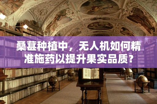 桑葚种植中，无人机如何精准施药以提升果实品质？