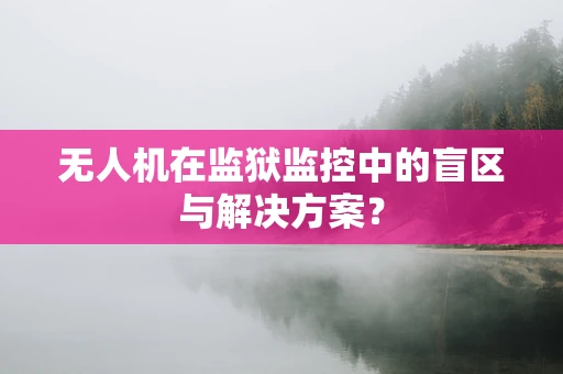 无人机在监狱监控中的盲区与解决方案？