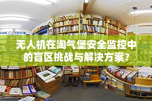 无人机在淘气堡安全监控中的盲区挑战与解决方案？