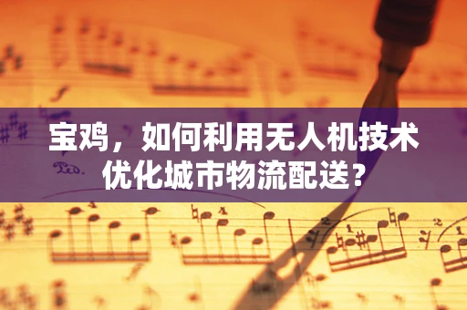 宝鸡，如何利用无人机技术优化城市物流配送？