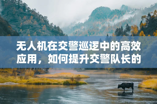 无人机在交警巡逻中的高效应用，如何提升交警队长的决策支持？