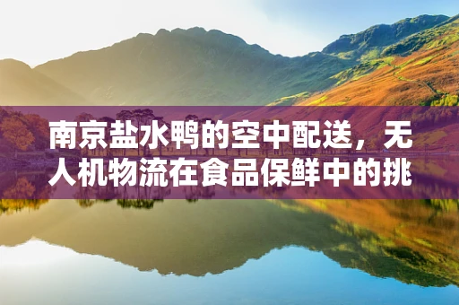 南京盐水鸭的空中配送，无人机物流在食品保鲜中的挑战与机遇？