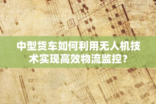 中型货车如何利用无人机技术实现高效物流监控？