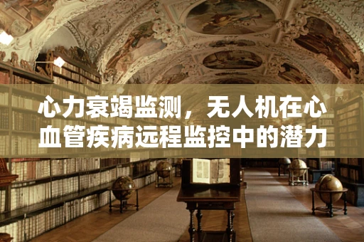 心力衰竭监测，无人机在心血管疾病远程监控中的潜力与挑战