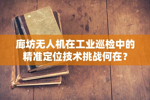 廊坊无人机在工业巡检中的精准定位技术挑战何在？