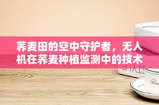 荞麦田的空中守护者，无人机在荞麦种植监测中的技术挑战与解决方案