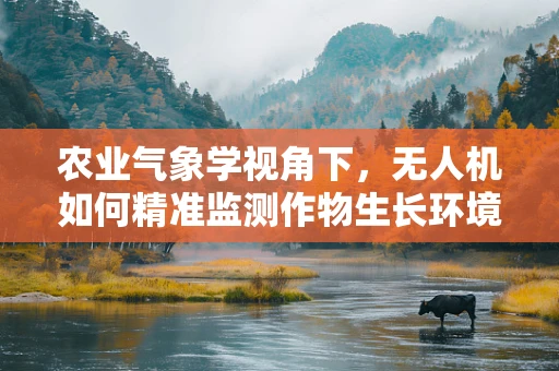 农业气象学视角下，无人机如何精准监测作物生长环境？