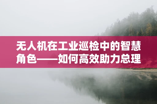 无人机在工业巡检中的智慧角色——如何高效助力总理视察？