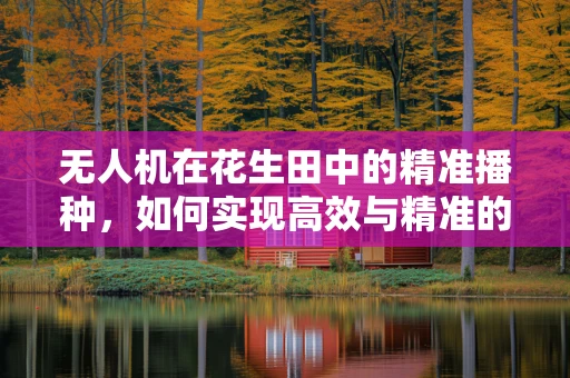 无人机在花生田中的精准播种，如何实现高效与精准的双重飞跃？