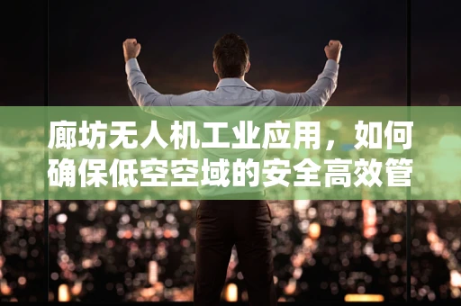 廊坊无人机工业应用，如何确保低空空域的安全高效管理？