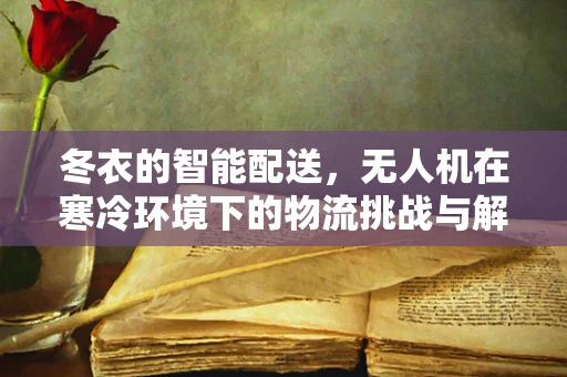 冬衣的智能配送，无人机在寒冷环境下的物流挑战与解决方案