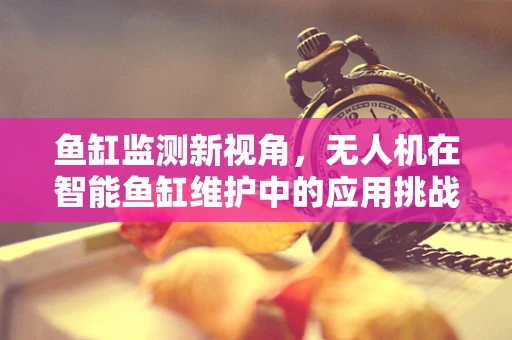 鱼缸监测新视角，无人机在智能鱼缸维护中的应用挑战与解决方案