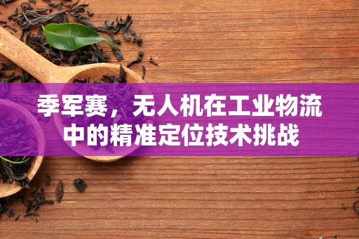 季军赛，无人机在工业物流中的精准定位技术挑战