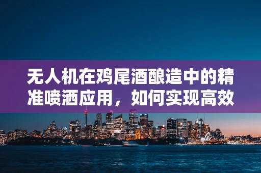 无人机在鸡尾酒酿造中的精准喷洒应用，如何实现高效与精确的平衡？