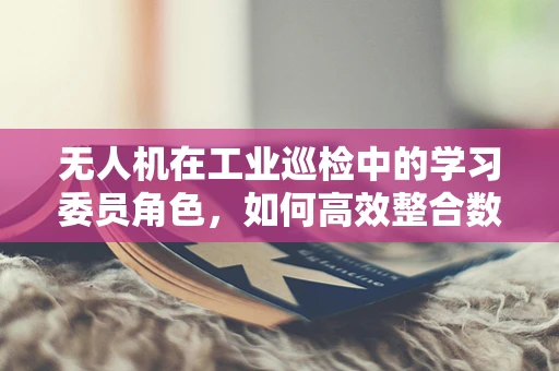 无人机在工业巡检中的学习委员角色，如何高效整合数据以优化决策？