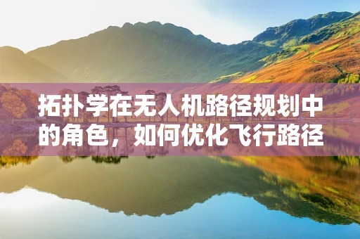 拓扑学在无人机路径规划中的角色，如何优化飞行路径？