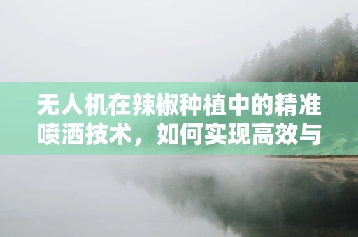 无人机在辣椒种植中的精准喷洒技术，如何实现高效与环保的平衡？