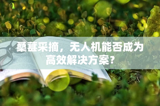 桑葚采摘，无人机能否成为高效解决方案？