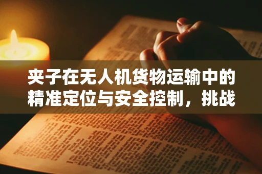 夹子在无人机货物运输中的精准定位与安全控制，挑战与解决方案