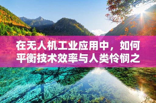 在无人机工业应用中，如何平衡技术效率与人类怜悯之心？