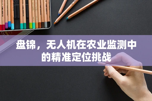 盘锦，无人机在农业监测中的精准定位挑战