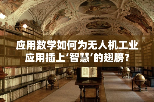 应用数学如何为无人机工业应用插上‘智慧’的翅膀？