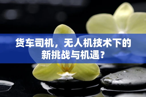 货车司机，无人机技术下的新挑战与机遇？