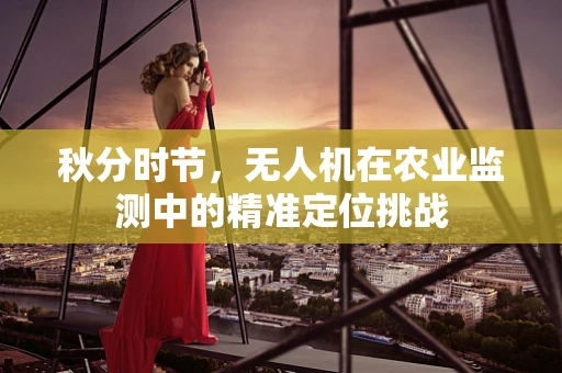 秋分时节，无人机在农业监测中的精准定位挑战