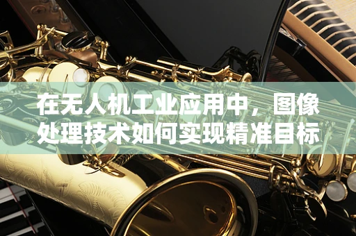 在无人机工业应用中，图像处理技术如何实现精准目标识别？