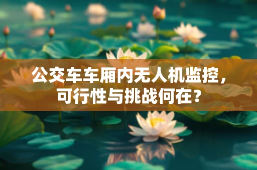 公交车车厢内无人机监控，可行性与挑战何在？