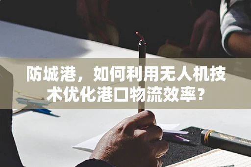 防城港，如何利用无人机技术优化港口物流效率？