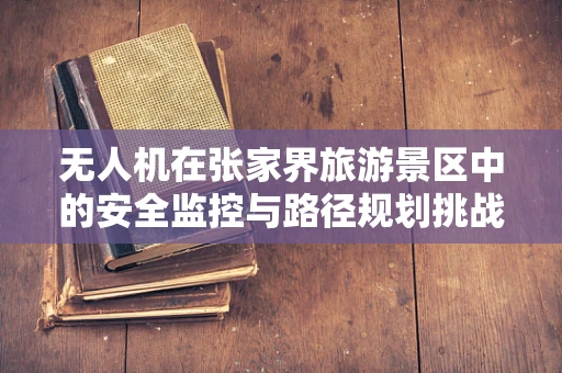 无人机在张家界旅游景区中的安全监控与路径规划挑战