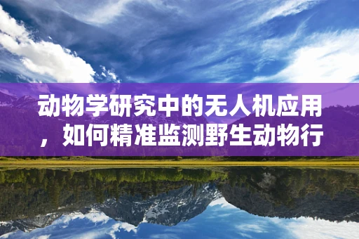 动物学研究中的无人机应用，如何精准监测野生动物行为？