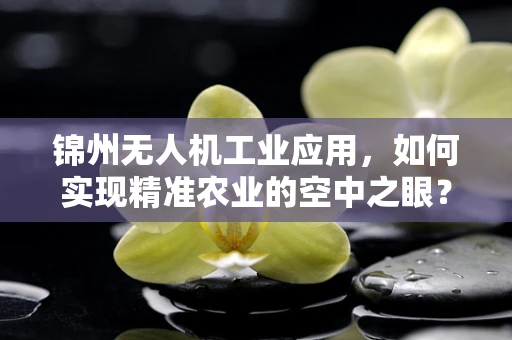 锦州无人机工业应用，如何实现精准农业的空中之眼？