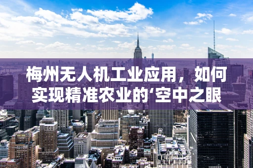 梅州无人机工业应用，如何实现精准农业的‘空中之眼’？